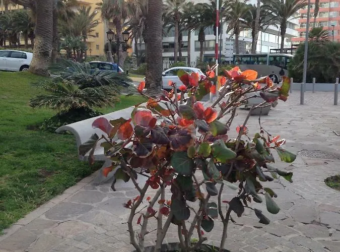 Martianez פוארטו דה לה קרוז