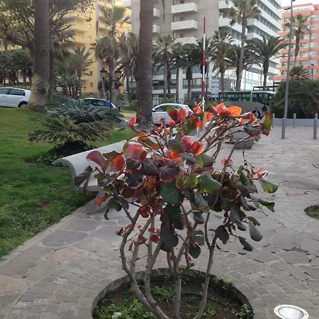 Martianez Puerto de la Cruz (Tenerife)